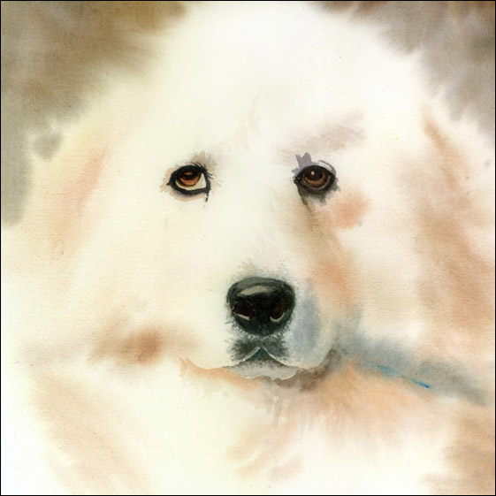 Bildgröße 40x40cm Preis 250,00 €